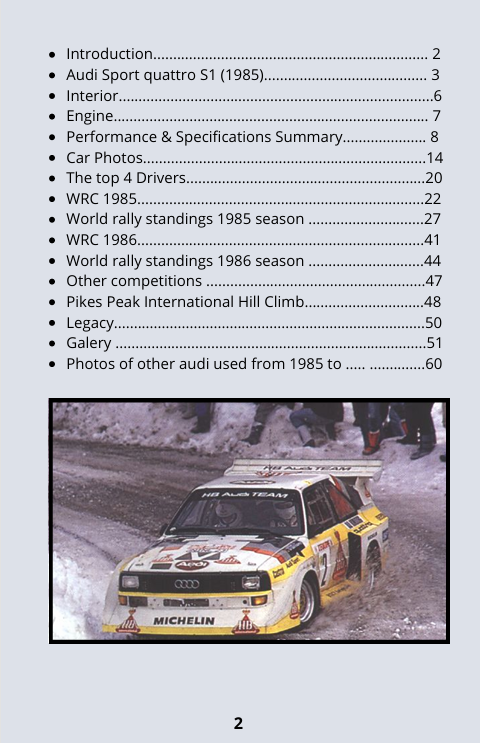 Group B - Audi Sport quattro S1 - the monster