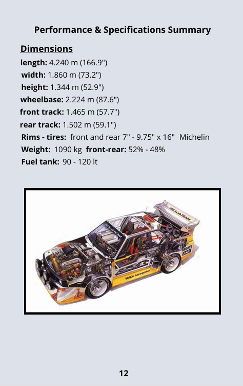 Group B - Audi Sport quattro S1 - the monster
