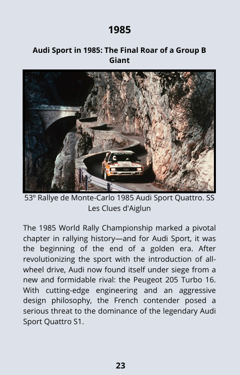 Group B - Audi Sport quattro S1 - the monster